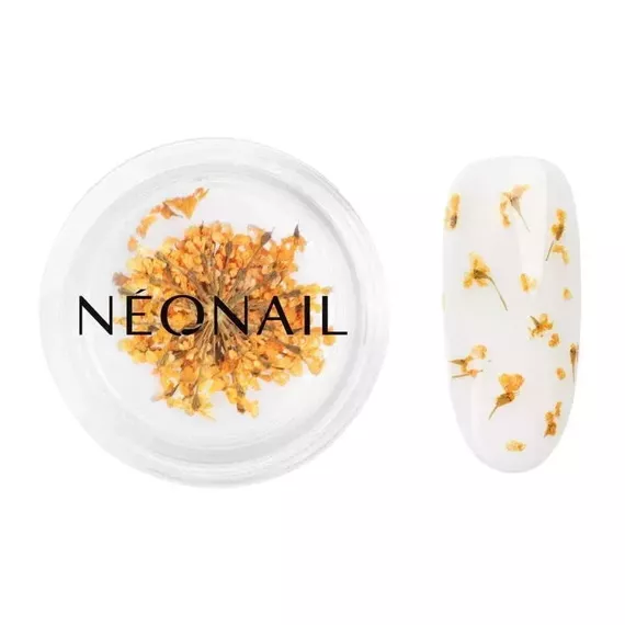 Ozdoba Neonail Orange 03 suszone kwiaty do stylizacji paznokci