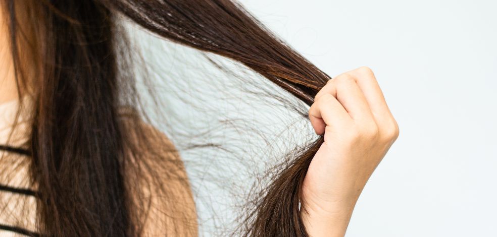 Artykuł blogowy: Metoda OMO — co to jest i jakie odżywki wybrać?